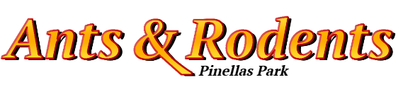 Pinellas Park Ant Exterminator & Rodent Control Company Logo